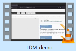 Demo Video